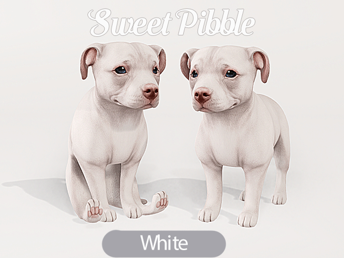 Foxwood - Sweet Pibble - White