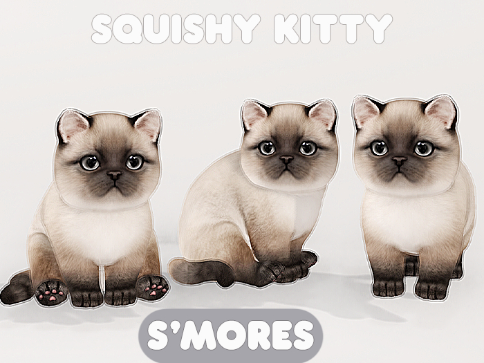 Foxwood - Squishy Kitty - S'mores