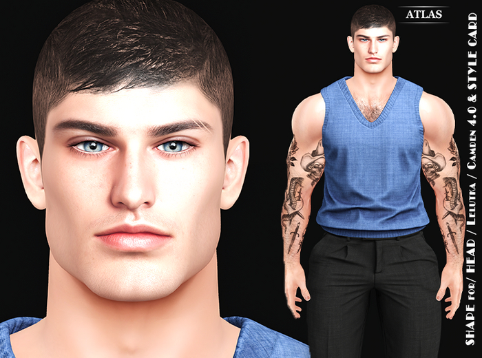 *ATLAS* SHAPE  FELIX  for LeL Camden Head 4.0 & STYLE CARD