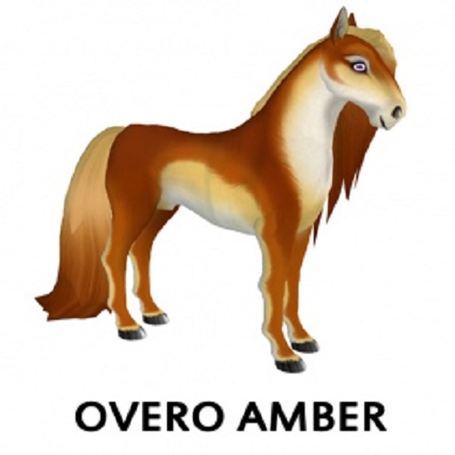 Overo Amber M