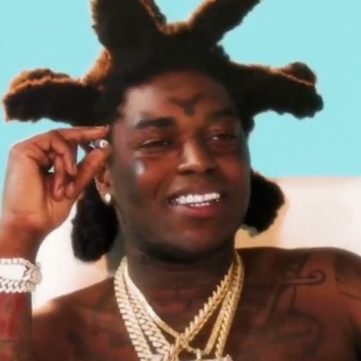 Kodak But White(Gesture)