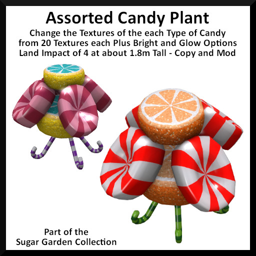 Ever Green - Sugar Garden - Assorted Candy Plant