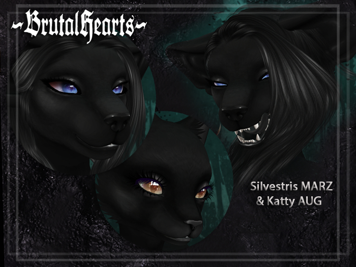 ~BH~ Le Noir - Feline Mod Kit