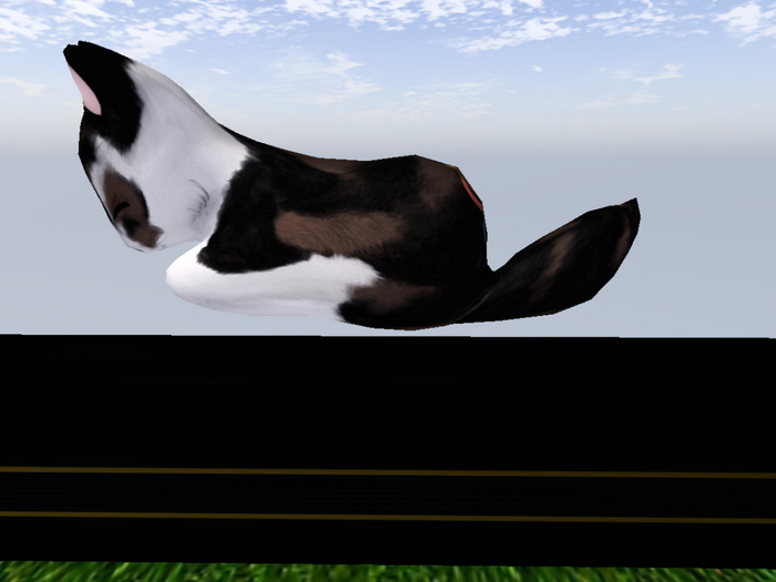 Stray Cats Kitten - Stray Kitty (M)