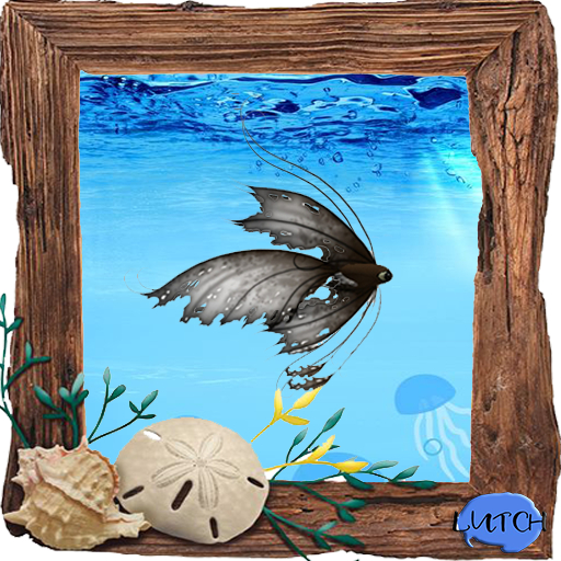 (7S) Uncommon Fish: Cocoa Ragged Fish