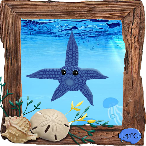 (7S) Common Stuff: Blue Starfish