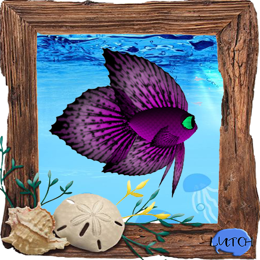 (7S) Common Fish: Magenta Betta