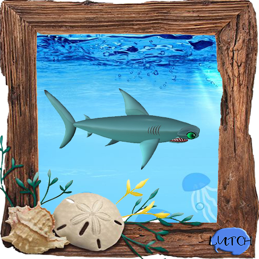 (7S) Rare Fish: Hammerhead Shark