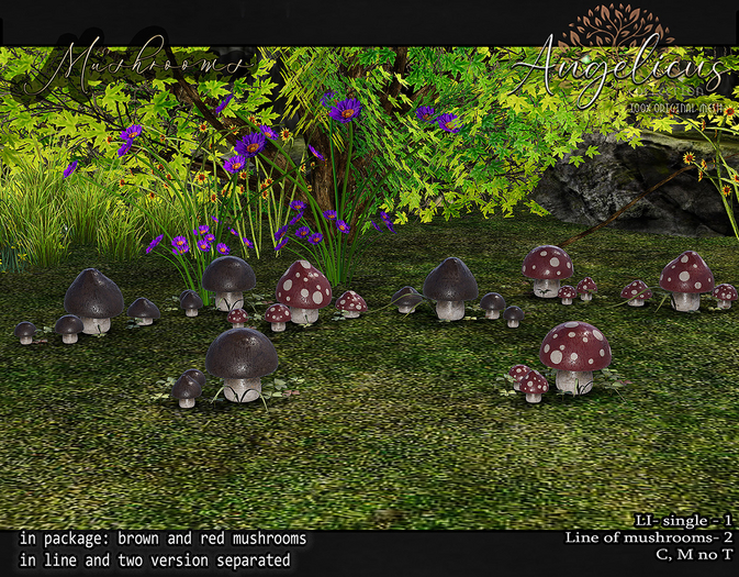 .AngelicUs. Mushrooms 
