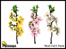 Meshuga Spring Flowers - Japanese Apricot Pack FULL PERM MESH