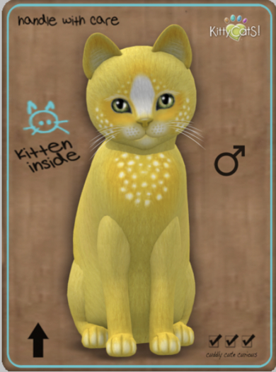 KittyCatS Box - Confetti - LemonBerry Male