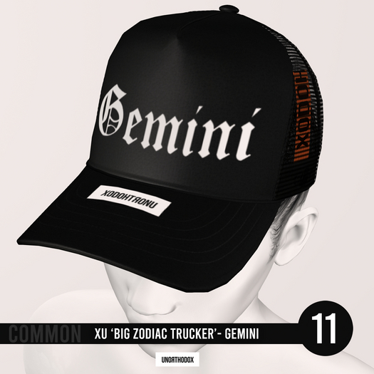 'Big Zodiac' Trucker Hat Gemini COMMON
