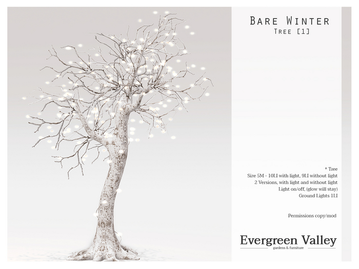 Winter Tree