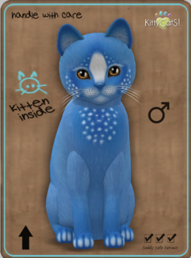 KittyCatS Box - Confetti - BlueBerry Male No2