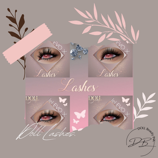 [DB-Doll Beauty] Doll Lashes