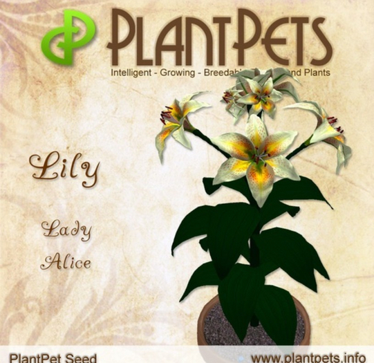 PlantPet Seed [Lily *Lady Alice*]