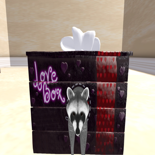 Valentines Gift Box Raccoon