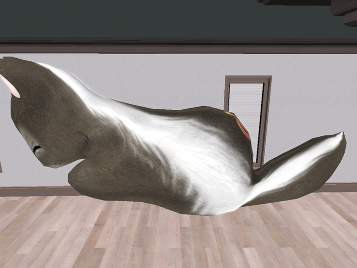 Stray Cats Kitten - Stray Kitty (M)