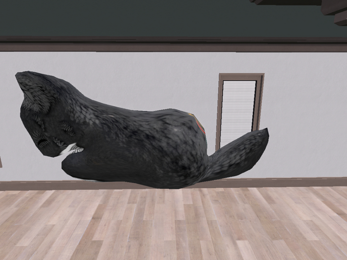 Stray Cats Kitten - Stray Kitty (F)