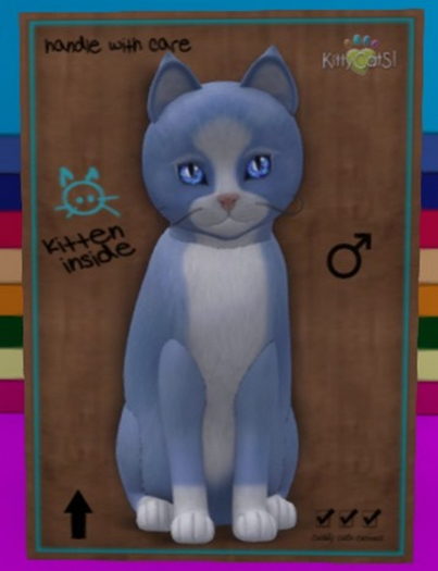 KittyCatS Box - Chateau Cat - Powder Puff No. 1 (M)