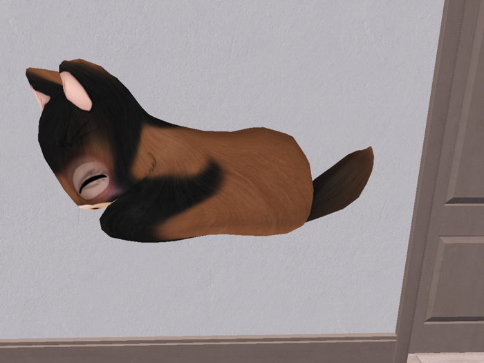 Stray Cats Kitten - Stray Kitty (F)