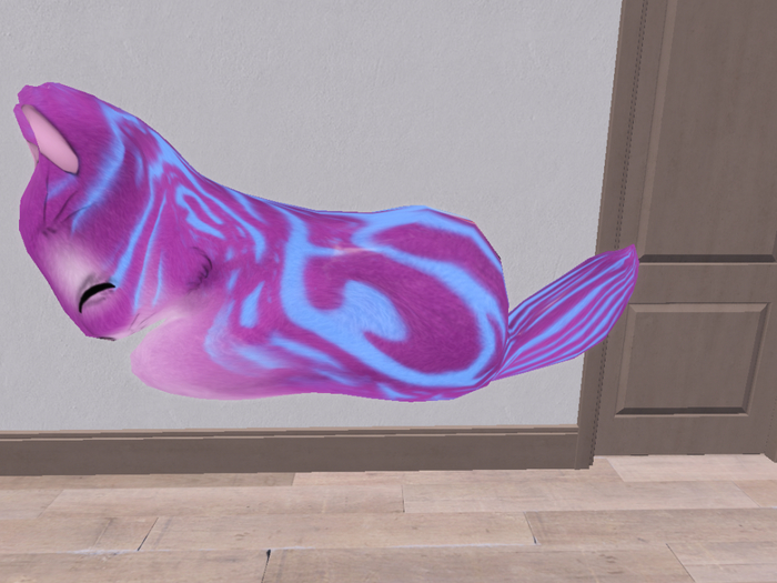 Stray Cats Kitten - Stray Kitty (F)