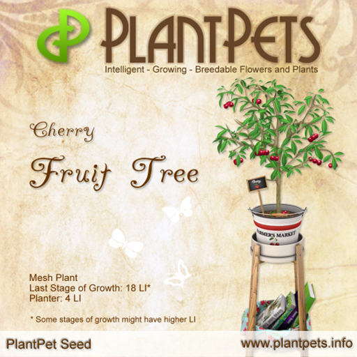 PlantPet Seed [Fruit Tree *Cherry*] Common