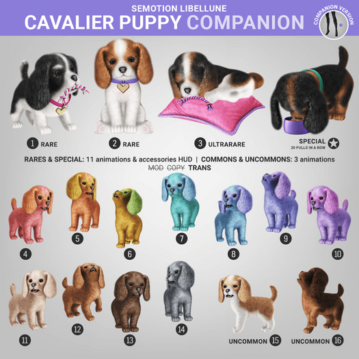 SEmotion Libellune Cavalier Puppy Companion RARE 01