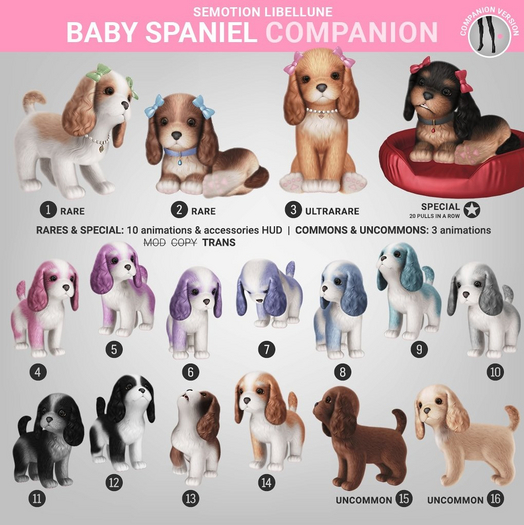 SEmotion Libellune Baby Spaniel Companion COMMON 08