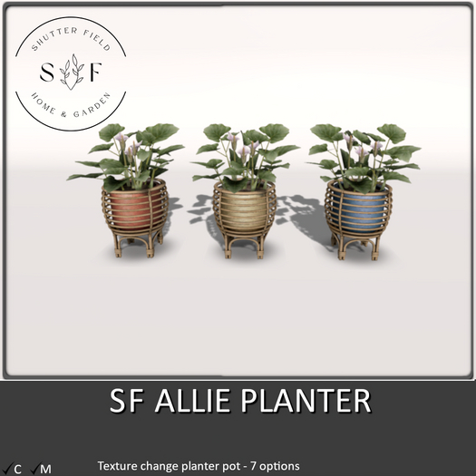 SF ALLIE PLANTER  BOXED