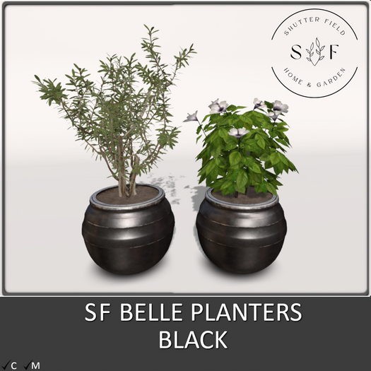 SF BELLE PLANTERS - BLACK BOXED