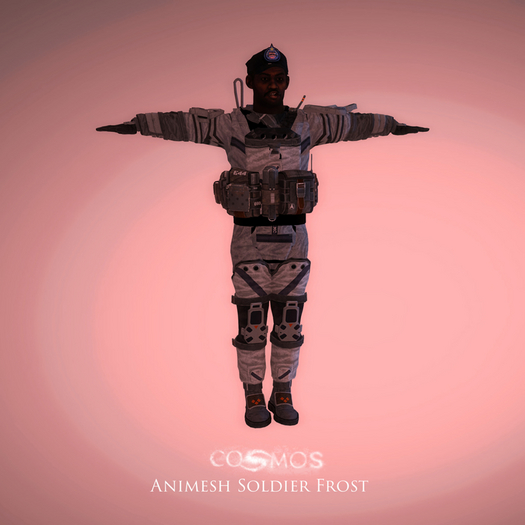 Cosmos: Animesh Frost Soldier