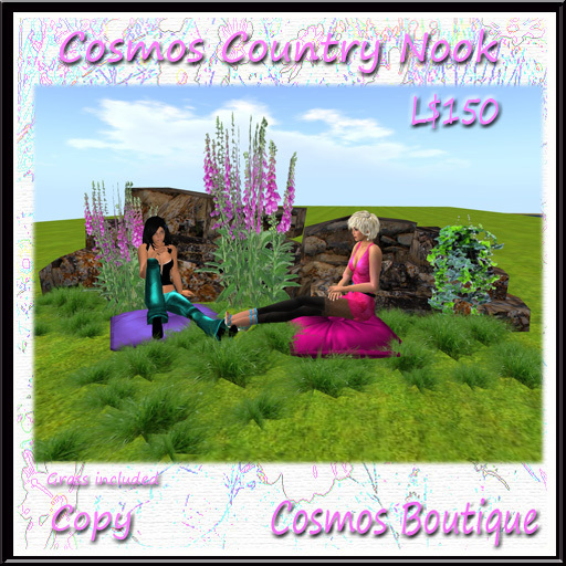 Cosmos Country Nook 1 (Boxed)