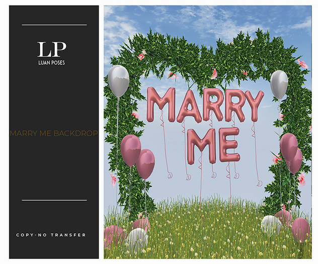 Luan Poses Marry me Backdrop
