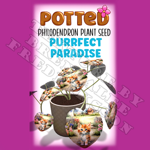 Potted: Philodendron Plant Seed: Purrfect Paradise