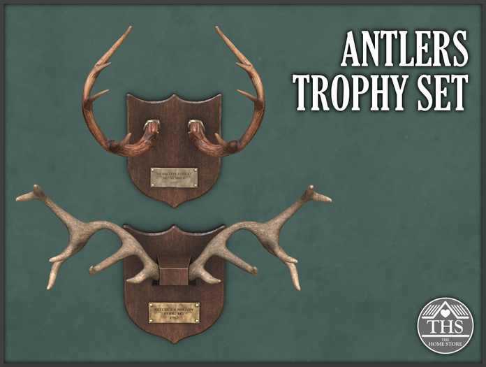 HUNTING TROPHY - HUNTING - TROPHY