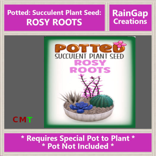 Potted: Succulent Plant Seed: Rosy Roots ACTUAL ITEM