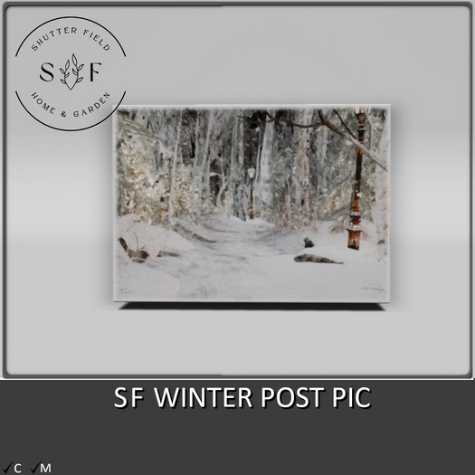 SF WINTER POST PIC - BOXED