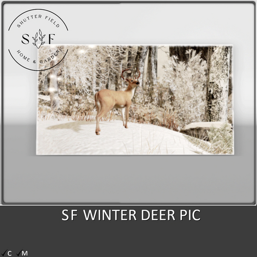 SF Winter Deer Pic - Boxed