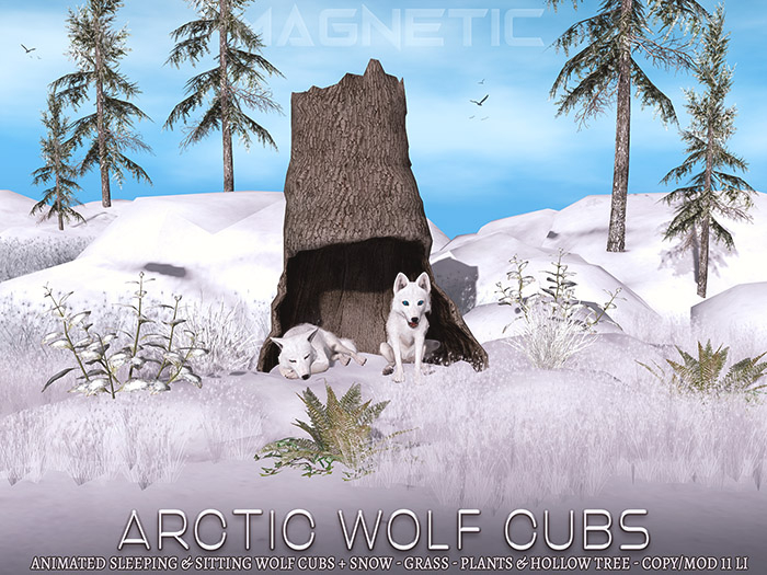 Magnetic - Arctic Wolf Cubs