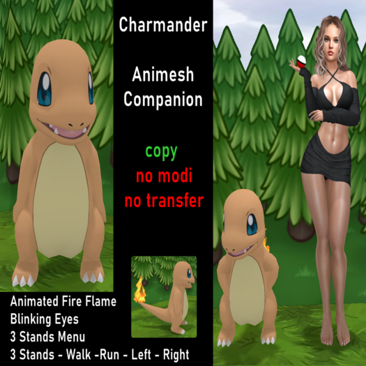 ::.PokePark.:: Animesh Charmander Companion
