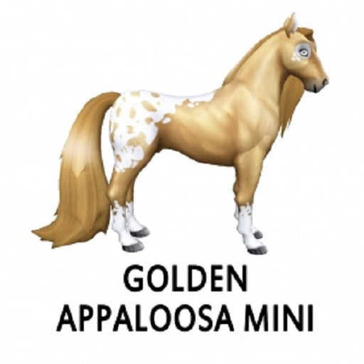 Golden Appaloosa Mini M