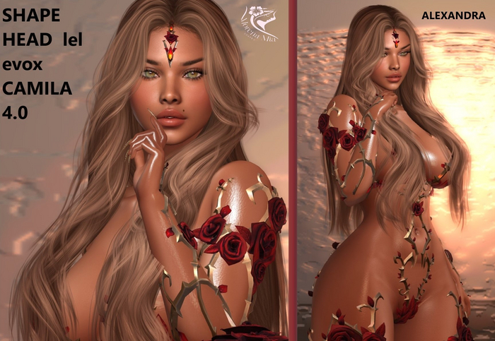 ALEXANDRA  SHAPE HEAD EvoX  CAMILA  4.0 Lelutka (Maitreya,larax,legacy,,Reborn,Erika ,,Belleza Gen.X Curvy.Kupra