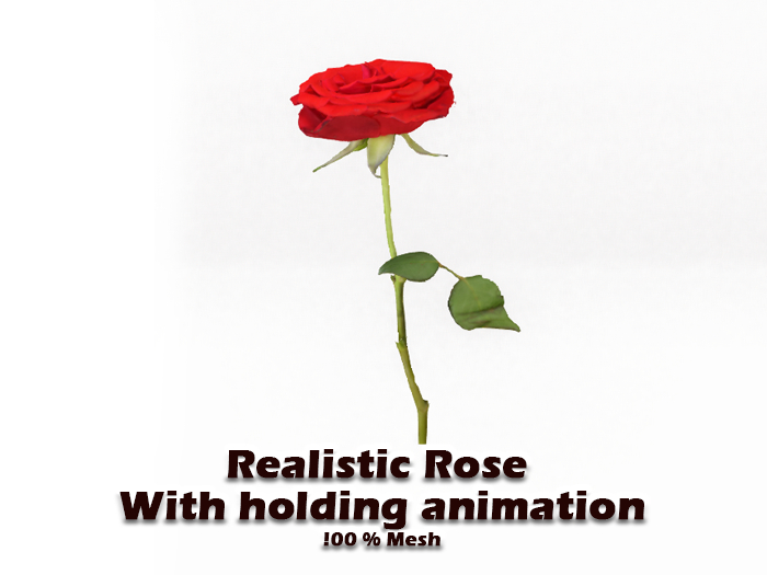 Realistic Mesh Rose with holding pose Transferrable GIFT