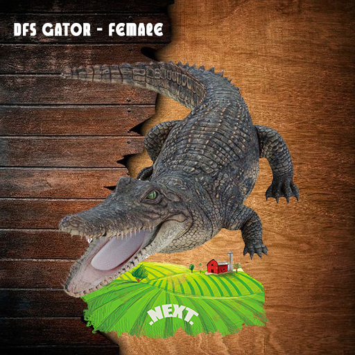 DFS Gator - Female 