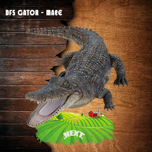 DFS Gator - Male 