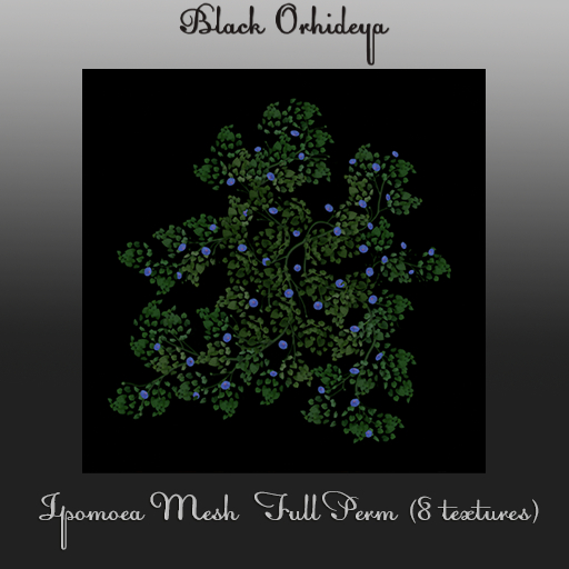 *BO* - Ipomoea Mesh  Full Perm (8 textures)