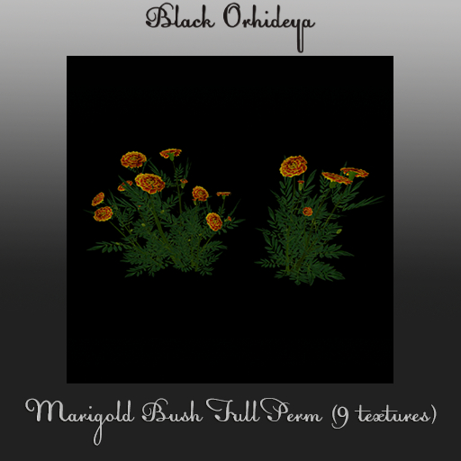 *BO* - Marigold Bush Full Perm (9 textures)