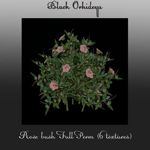 *BO* - Rose bush Full Perm (6 textures)