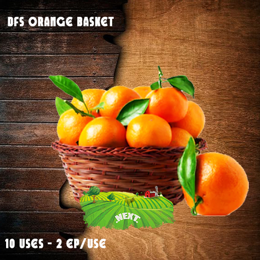 DFS Orange Basket